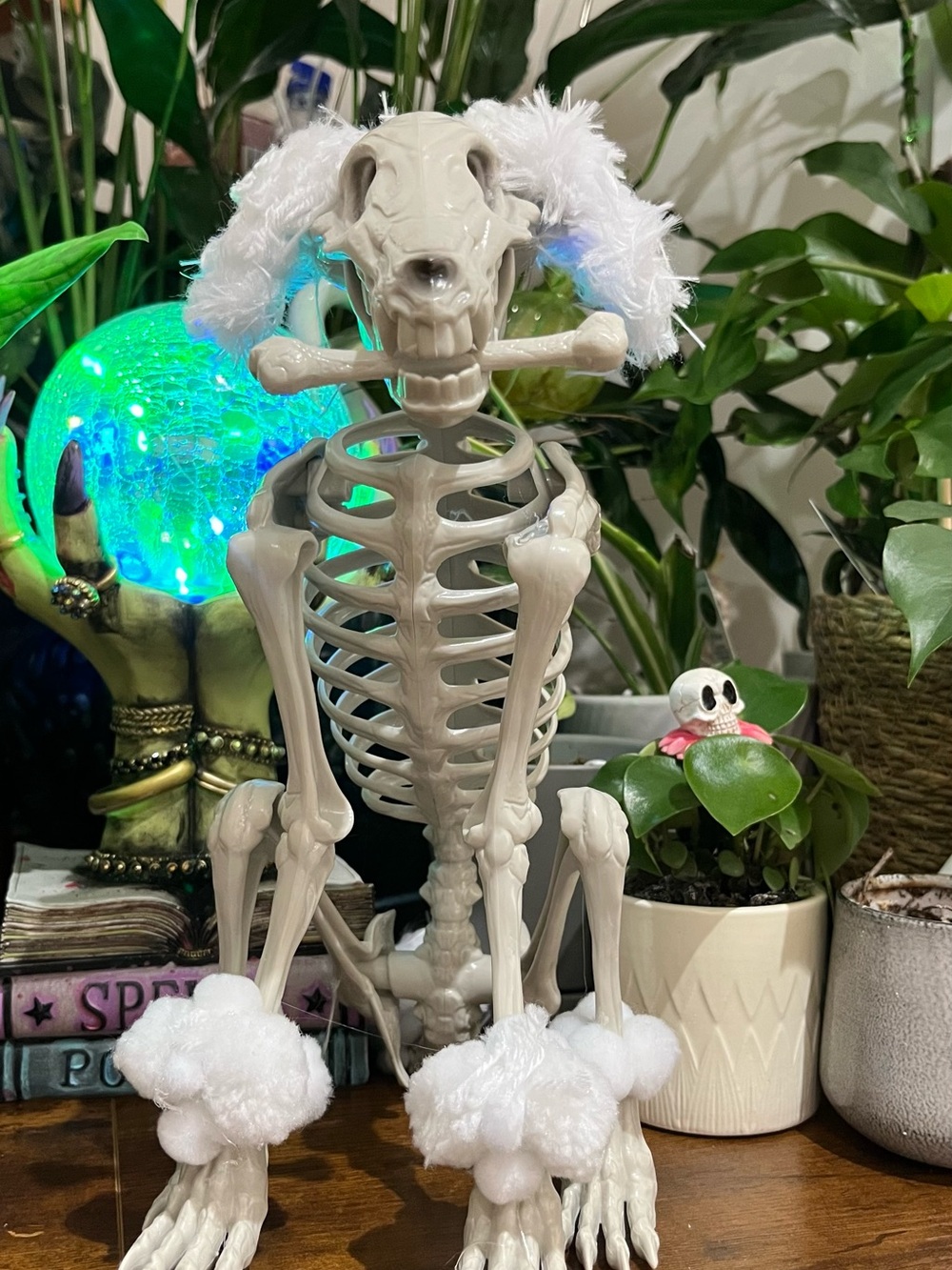 Whimsical Poodle Skeleton Decor in Cream & White 12” by 9”